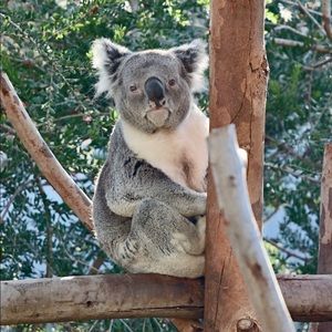 Meet your Posher, Caylee